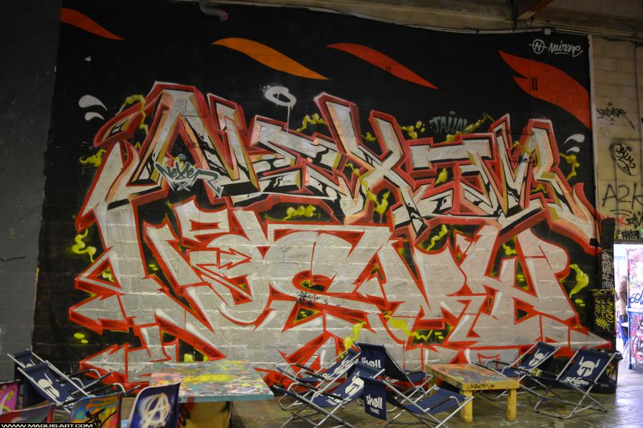 Graffiti de Nexer et Nosmy à L'Aérosol Paris (30 novembre 2017)
