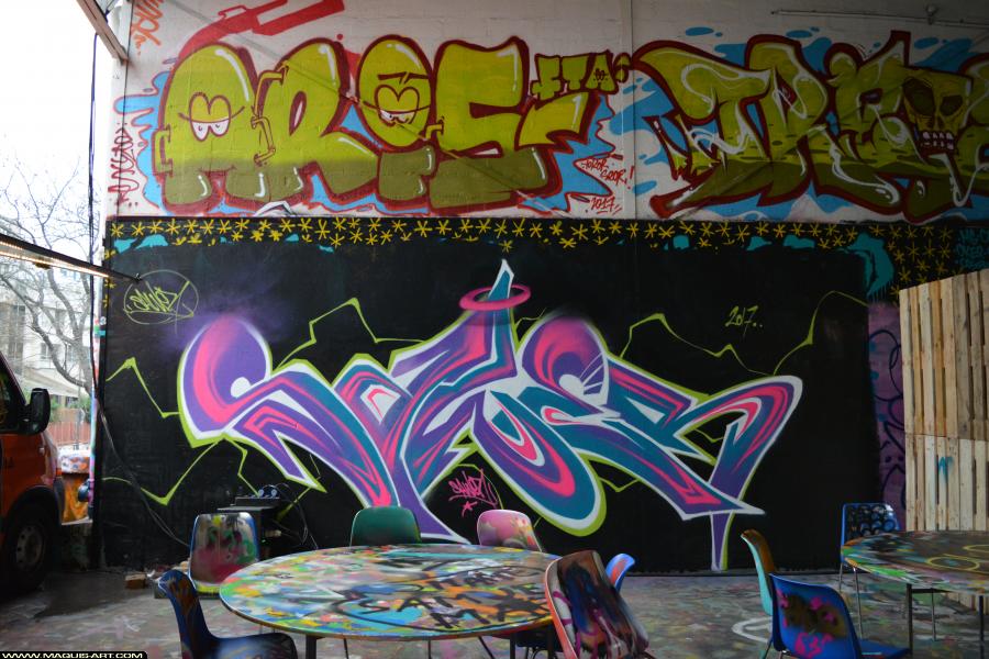 Graffiti de Sawer à L'Aérosol Paris (30 novembre 2017)