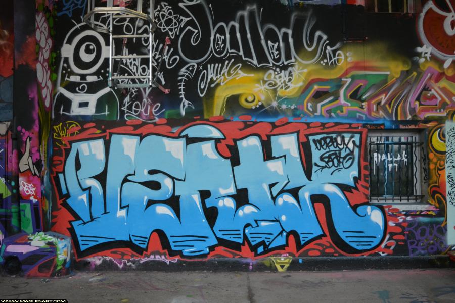 Graffiti de Vertex à L'Aérosol Paris (30 novembre 2017)