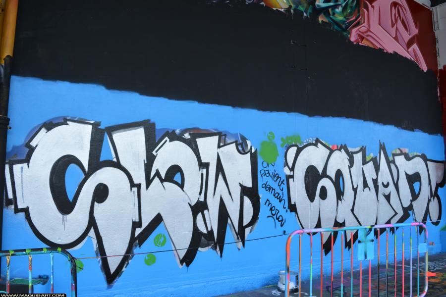 Graffiti de Sonea et Hodez à L'Aérosol Paris (2 décembre 2017)