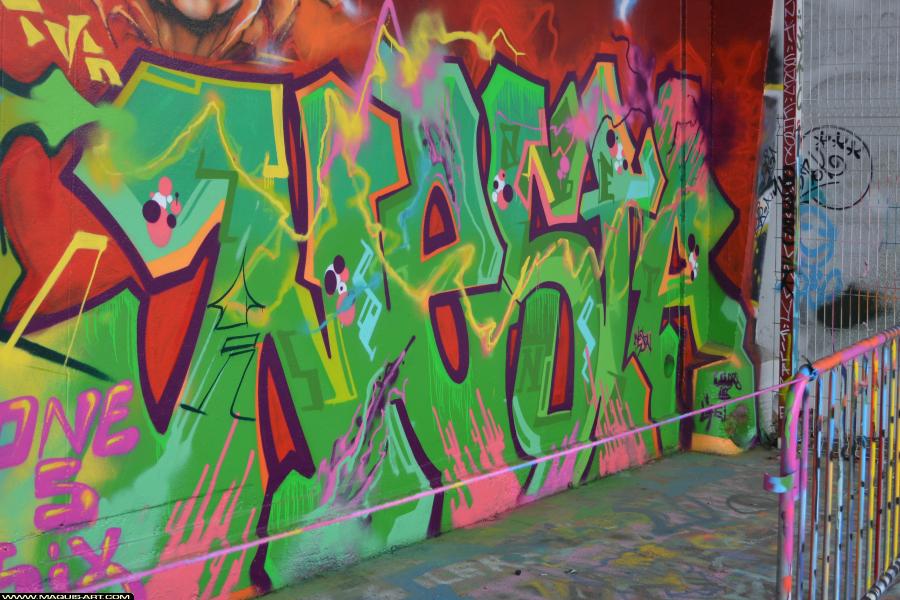 Graffiti de Nesta à L'Aérosol Paris (6 décembre 2017)