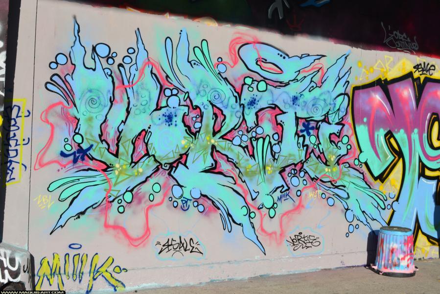 Vortie - Artiste Graffiti au Wall of Fame L'Aérosol