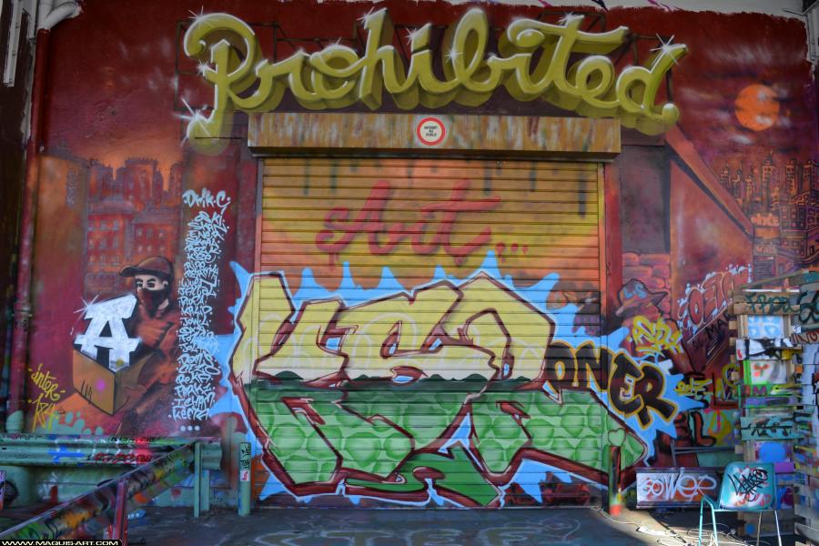 Graffiti de Ksr à L'Aérosol Paris (9 décembre 2017)
