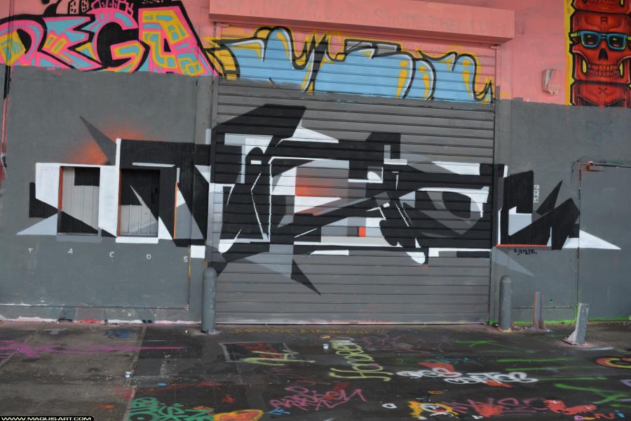 Graffiti de Tacos à L'Aérosol Paris (29 décembre 2017)