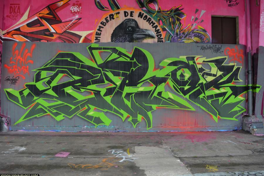 Graffiti de Brok à L'Aérosol Paris (29 décembre 2017)