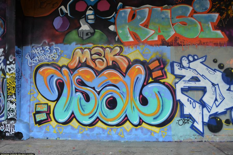 Graffiti de Rsal à L'Aérosol Paris (29 décembre 2017)