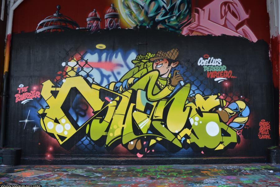 Graffiti de Shane à L'Aérosol Paris (30 décembre 2017)