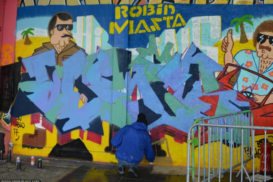 Graffiti à L'Aérosol Paris (31 décembre 2017)