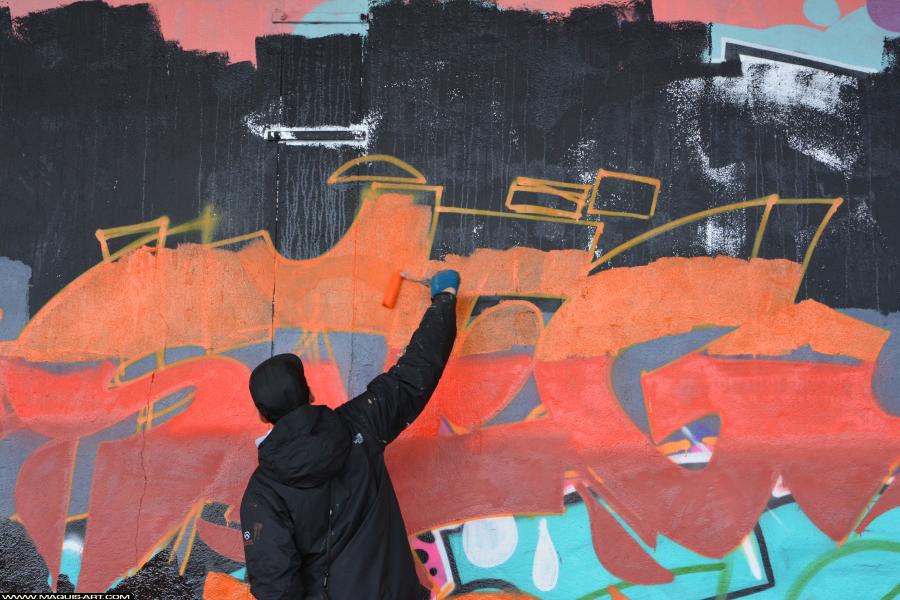 Graffiti de Steg à L'Aérosol Paris (31 décembre 2017)
