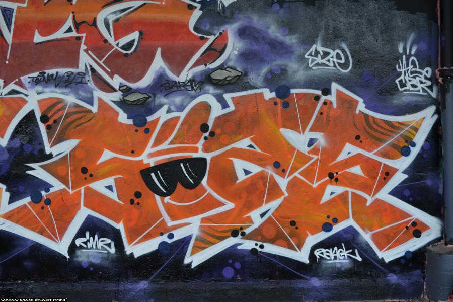 Graffiti de Size à L'Aérosol Paris (1 janvier 2018)