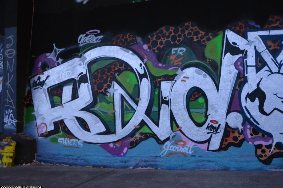 Rond - Artiste Graffiti au Wall of Fame L'Aérosol