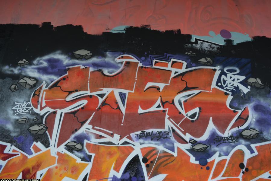 Graffiti de Steg à L'Aérosol Paris (1 janvier 2018)