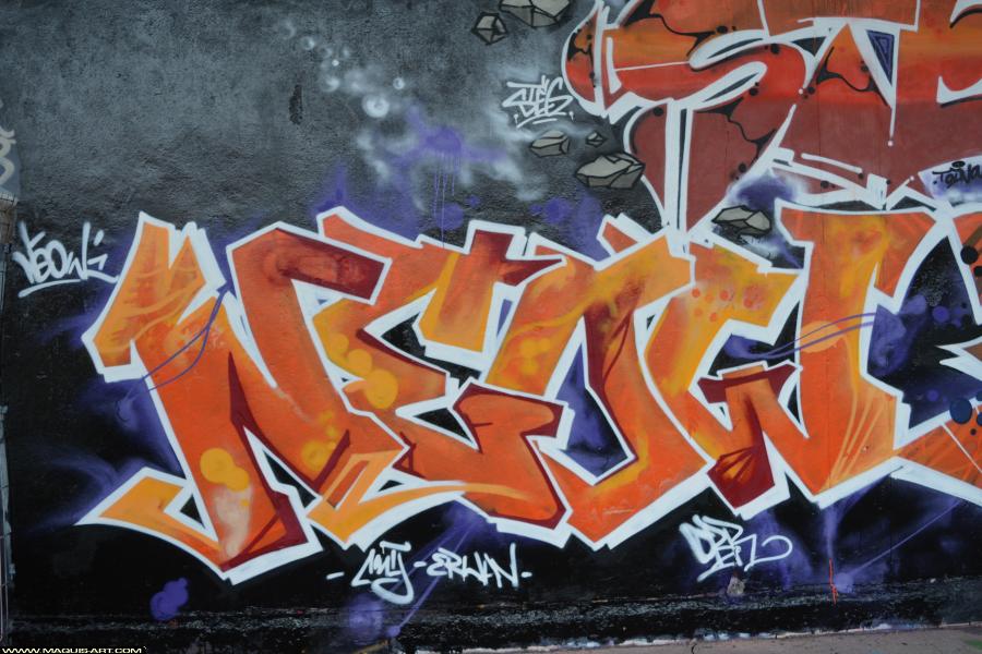 Graffiti de Neow à L'Aérosol Paris (1 janvier 2018)