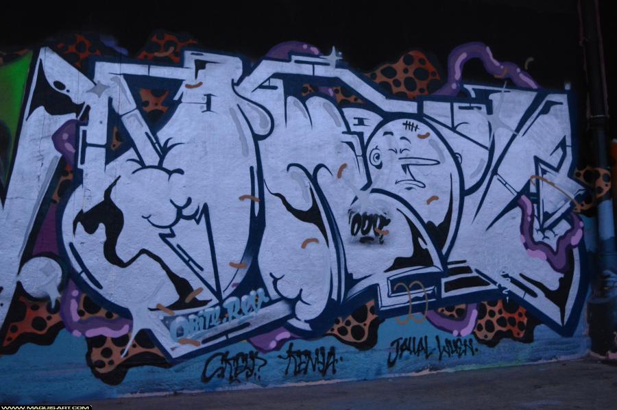 Graffiti d'Omouk à L'Aérosol Paris (7 janvier 2018)