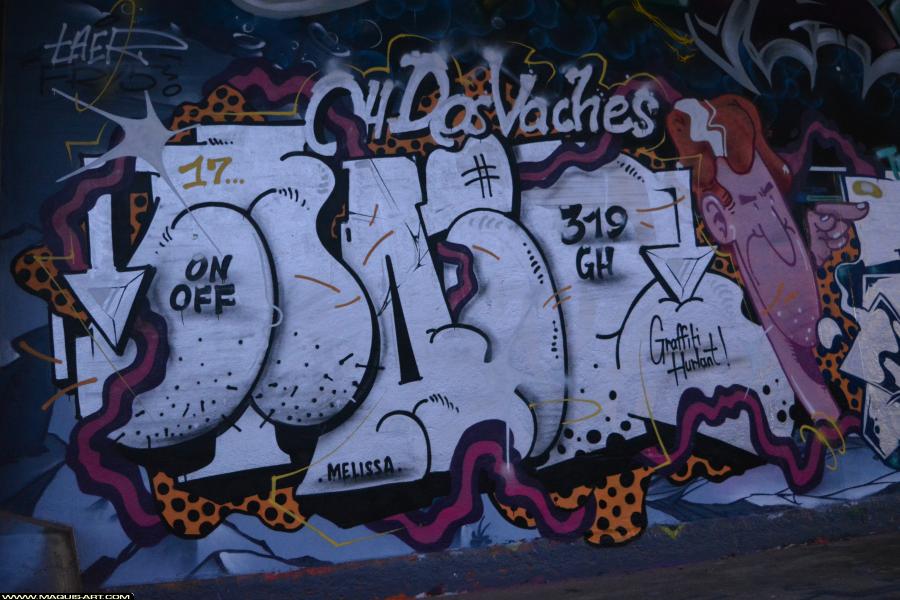 Graffiti de Taer à L'Aérosol Paris (7 janvier 2018)