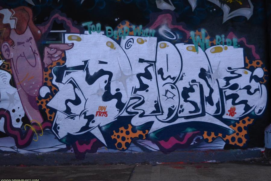 Graffiti à L'Aérosol Paris (7 janvier 2018)