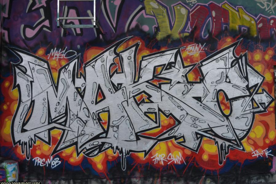 Graffiti de Makio à L'Aérosol Paris (7 janvier 2018)