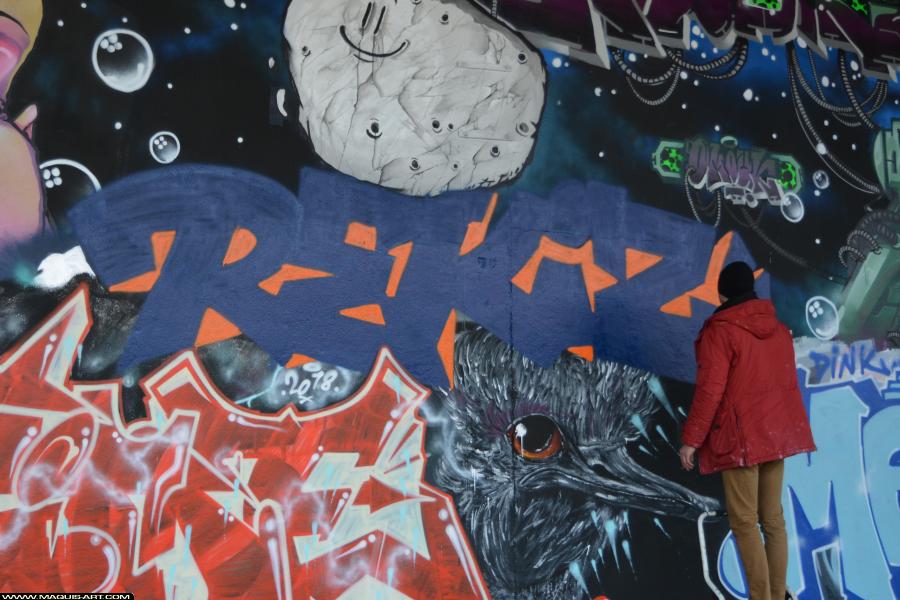 Graffiti de Rekiz à L'Aérosol Paris (11 janvier 2018)
