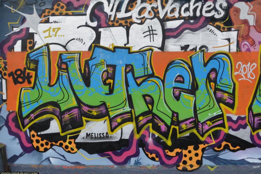 Graffiti de Luther à L'Aérosol Paris (9 janvier 2018)