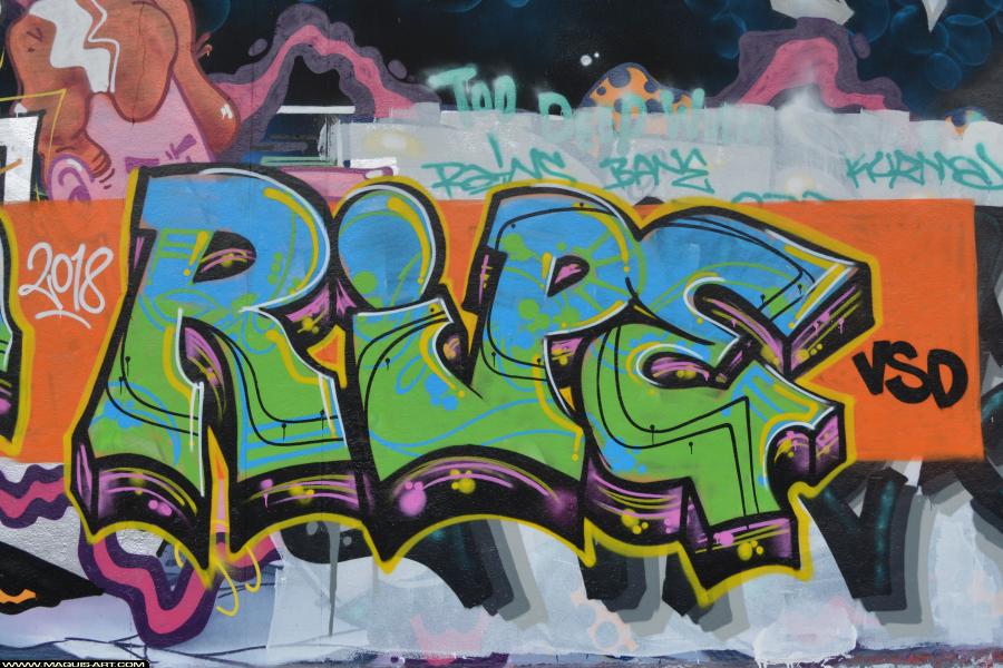 Graffiti de Ripe à L'Aérosol Paris (9 janvier 2018)