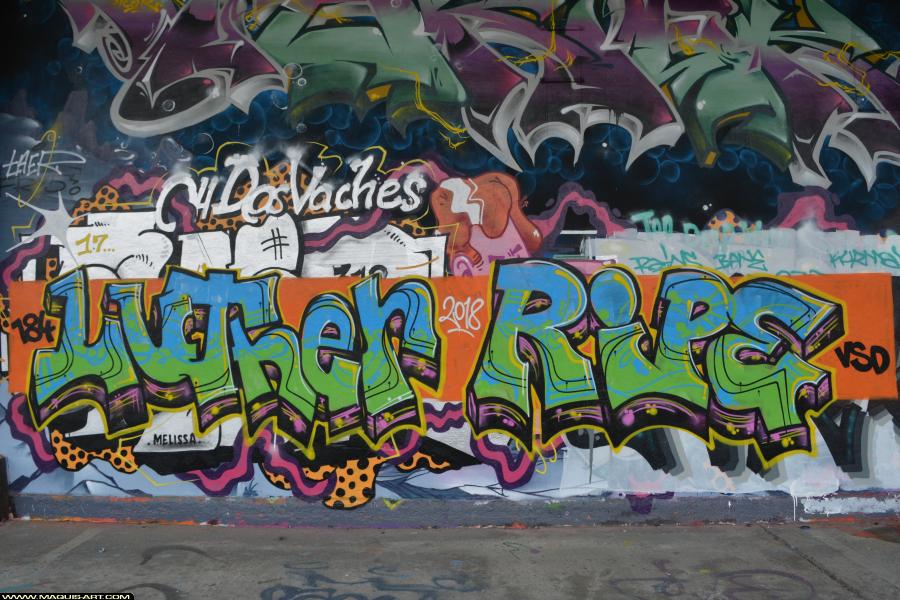 Graffiti de Ripe et Luther à L'Aérosol Paris (9 janvier 2018)