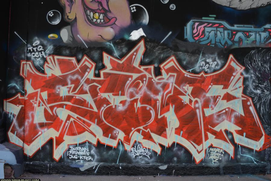 Graffiti de Stime à L'Aérosol Paris (9 janvier 2018)