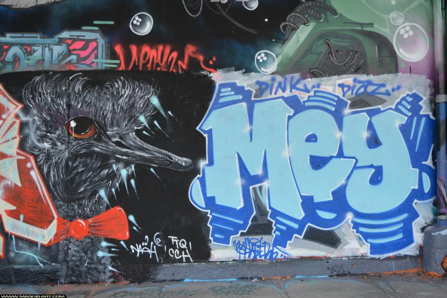 Graffiti de Mey à L'Aérosol Paris (9 janvier 2018)