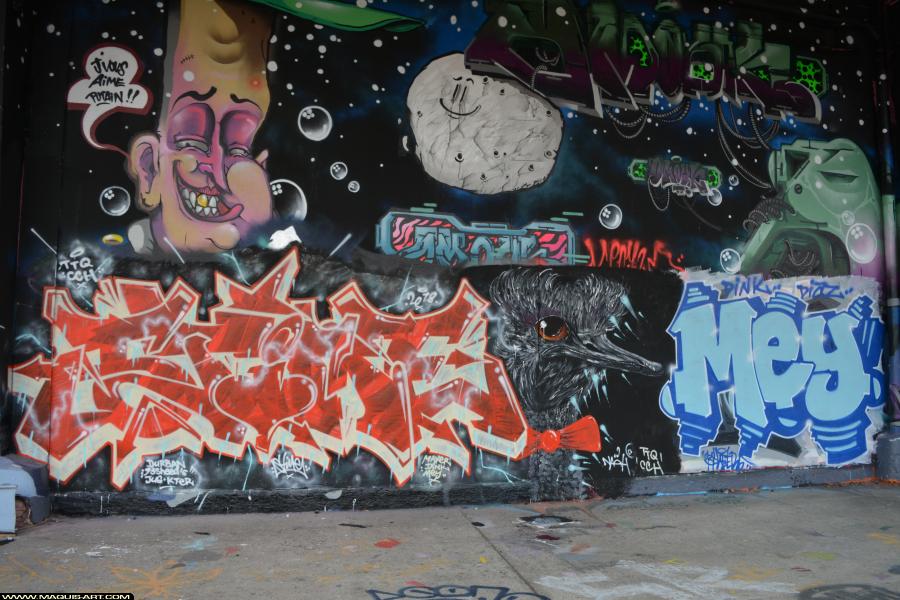 Stime - Artiste Graffiti au Wall of Fame L'Aérosol