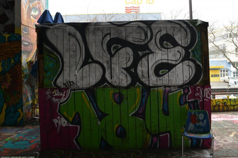 Graffiti à L'Aérosol Paris (14 janvier 2018)