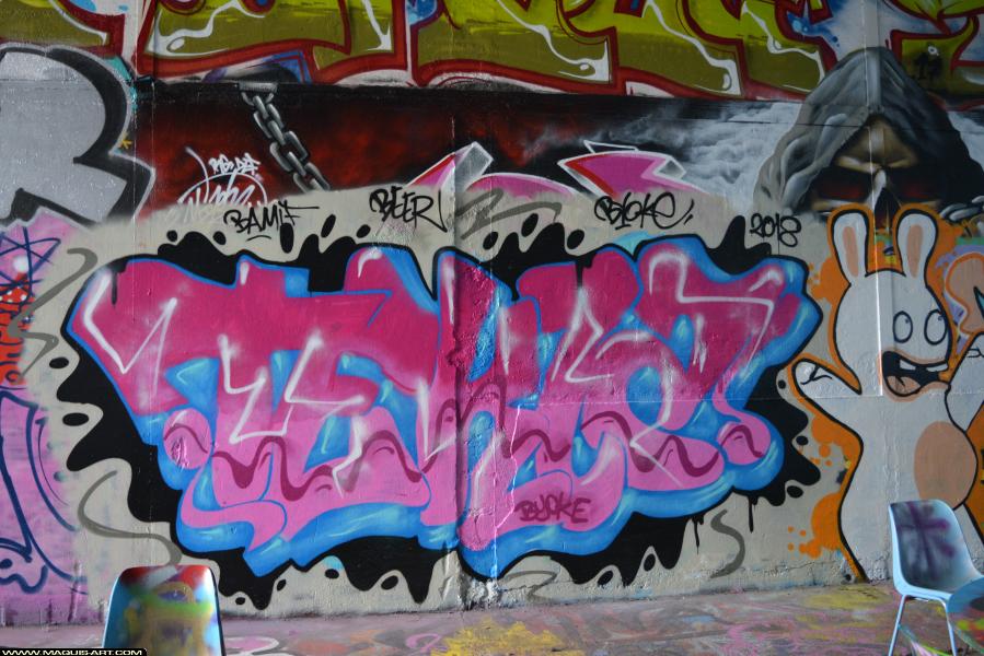 Graffiti de Tekla à L'Aérosol Paris (14 janvier 2018)
