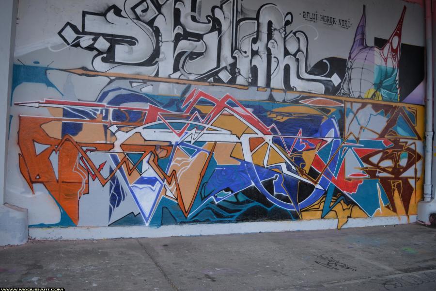 Graffiti de ??? à L'Aérosol Paris (22 janvier 2018)