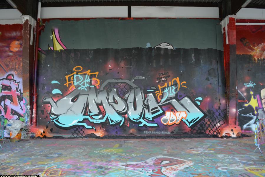 Graffiti d'Omouk à L'Aérosol Paris (23 janvier 2018)
