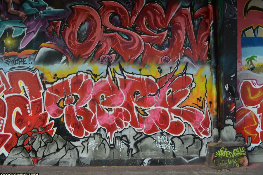 Graffiti de Beer à L'Aérosol Paris (23 janvier 2018)
