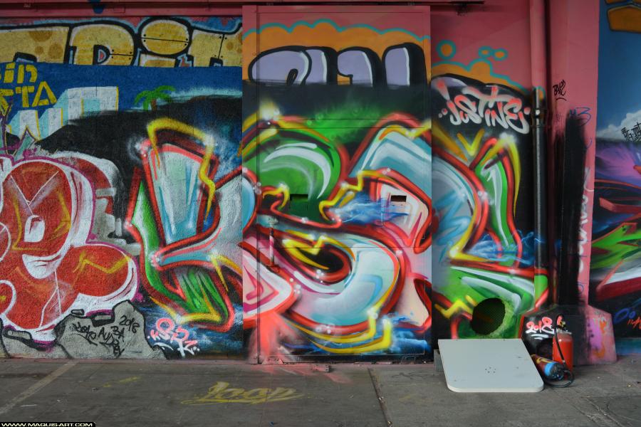 Graffiti de Ksr à L'Aérosol Paris (23 janvier 2018)