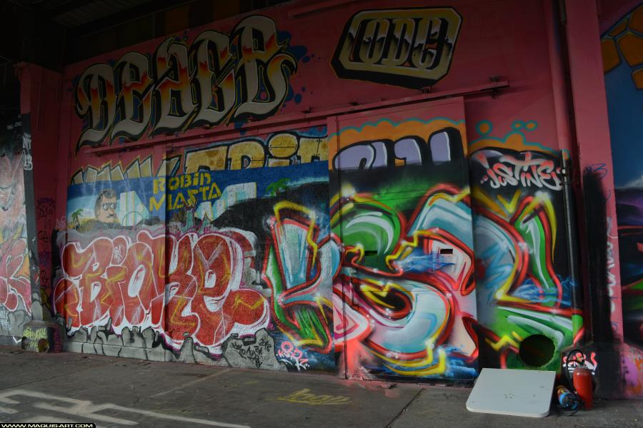 Graffiti de Ksr et Bioke à L'Aérosol Paris (23 janvier 2018)