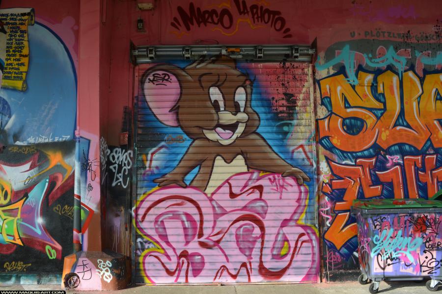 Graffiti de Ksr à L'Aérosol Paris (23 janvier 2018)