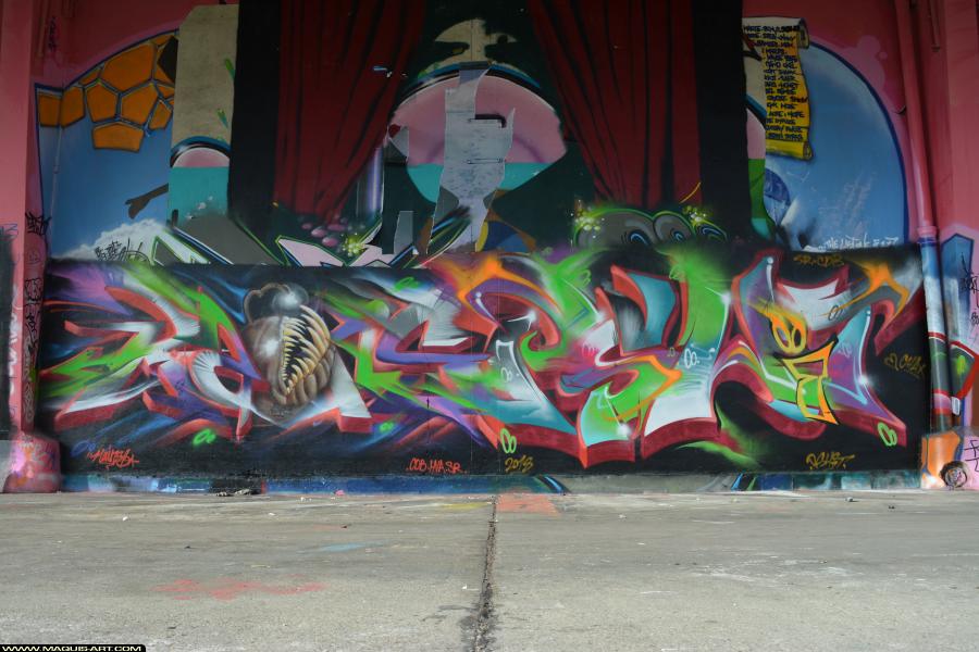 Graffiti de Ksr, Pshit et Rains à L'Aérosol Paris (23 janvier 2018)