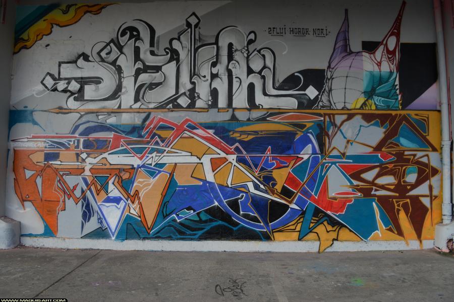 Graffiti de ??? à L'Aérosol Paris (23 janvier 2018)