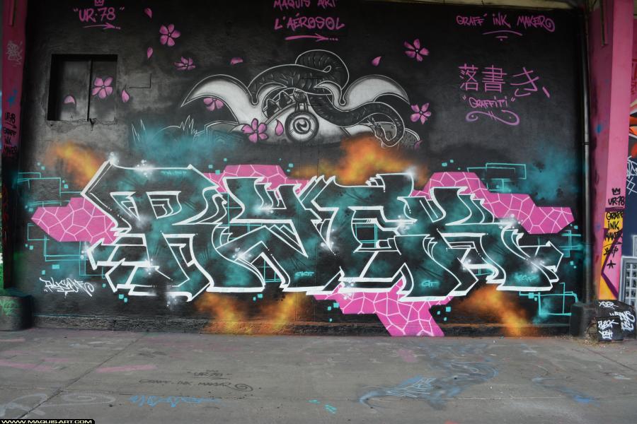 Graffiti de Ryck à L'Aérosol Paris (23 janvier 2018)