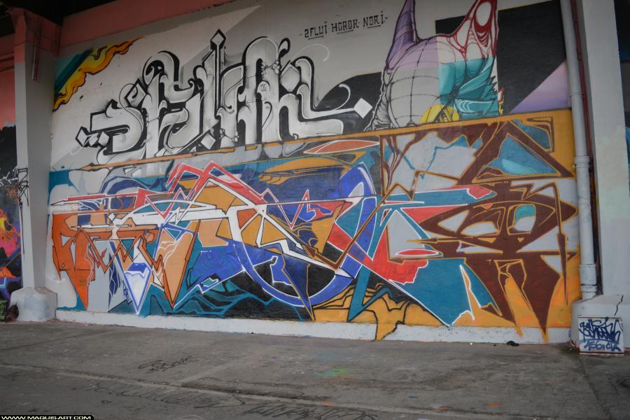 Graffiti de ??? à L'Aérosol Paris (23 janvier 2018)