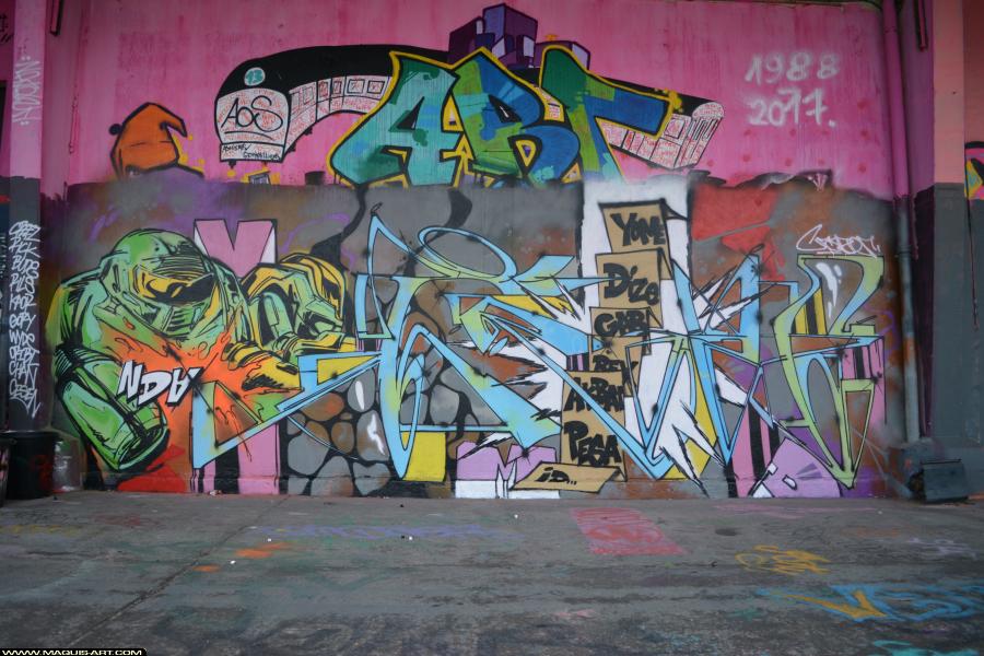 Graffiti de Crazer à L'Aérosol Paris (23 janvier 2018)