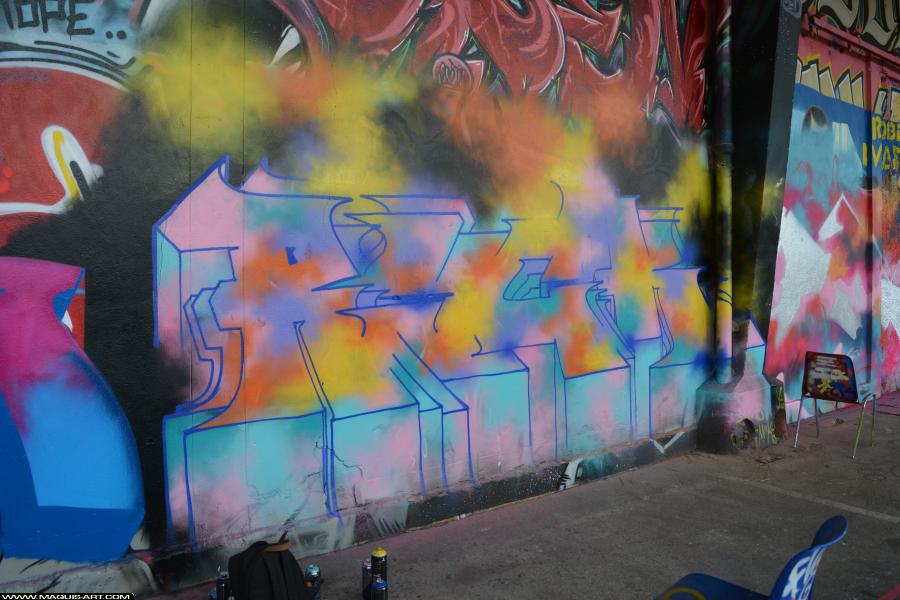 Graffiti de Ryck à L'Aérosol Paris (28 janvier 2018)