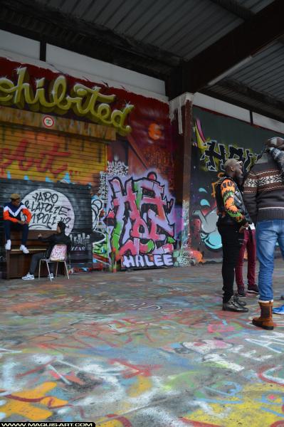 Graffiti de Halee à L'Aérosol Paris (28 janvier 2018)