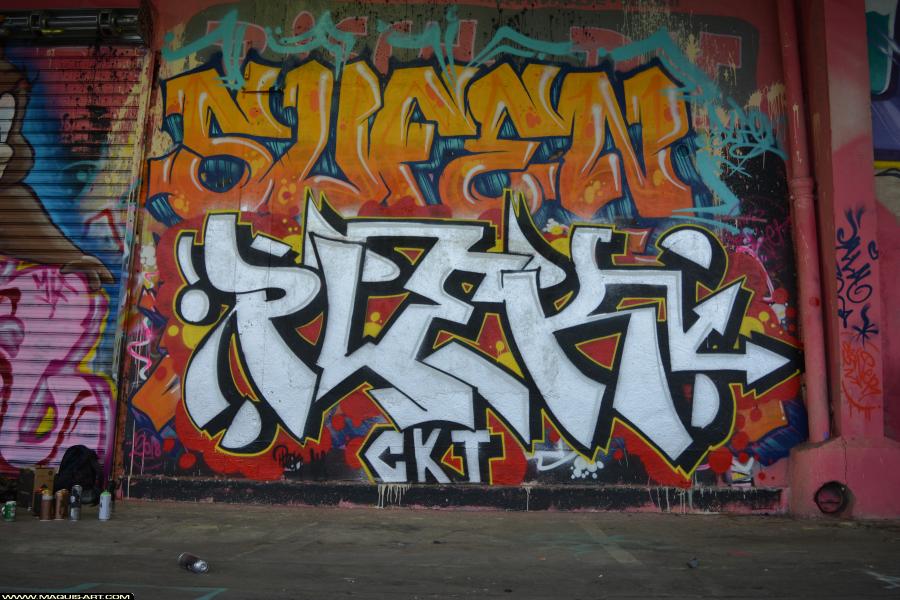 Graffiti de Plek et Sufen à L'Aérosol Paris (28 janvier 2018)