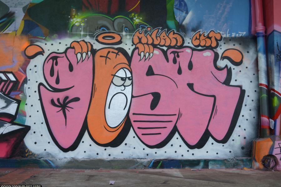 Graffiti d'Yosh à L'Aérosol Paris (28 janvier 2018)