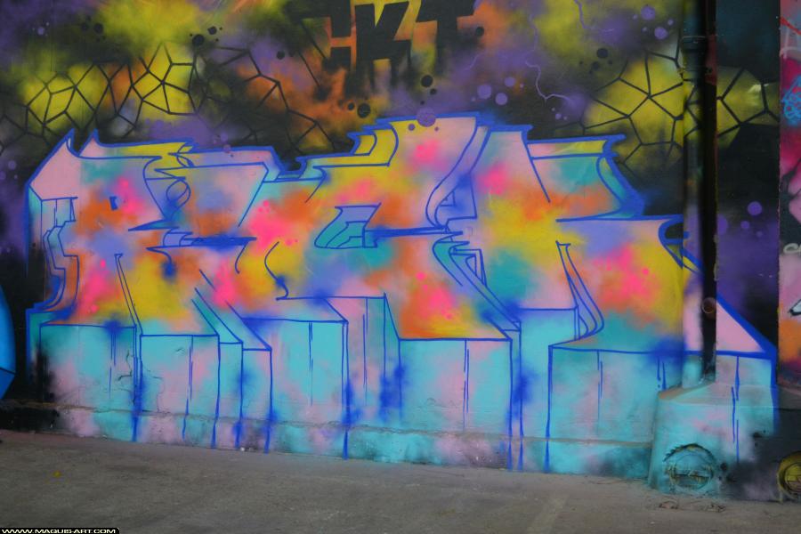 Graffiti de Ryck à L'Aérosol Paris (28 janvier 2018)