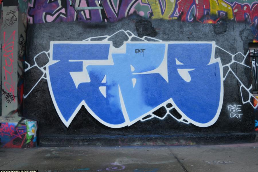 Graffiti de Fabe à L'Aérosol Paris (28 janvier 2018)