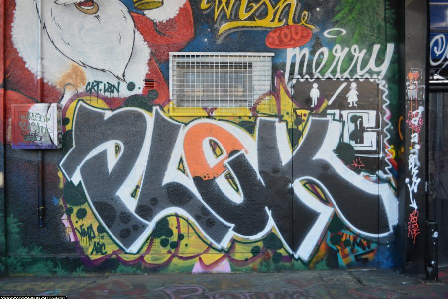 Graffiti de Plek à L'Aérosol Paris (1 février 2018)