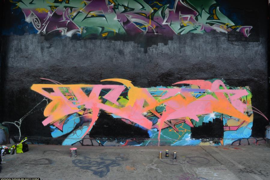 Graffiti de Pesa à L'Aérosol Paris (3 février 2018)