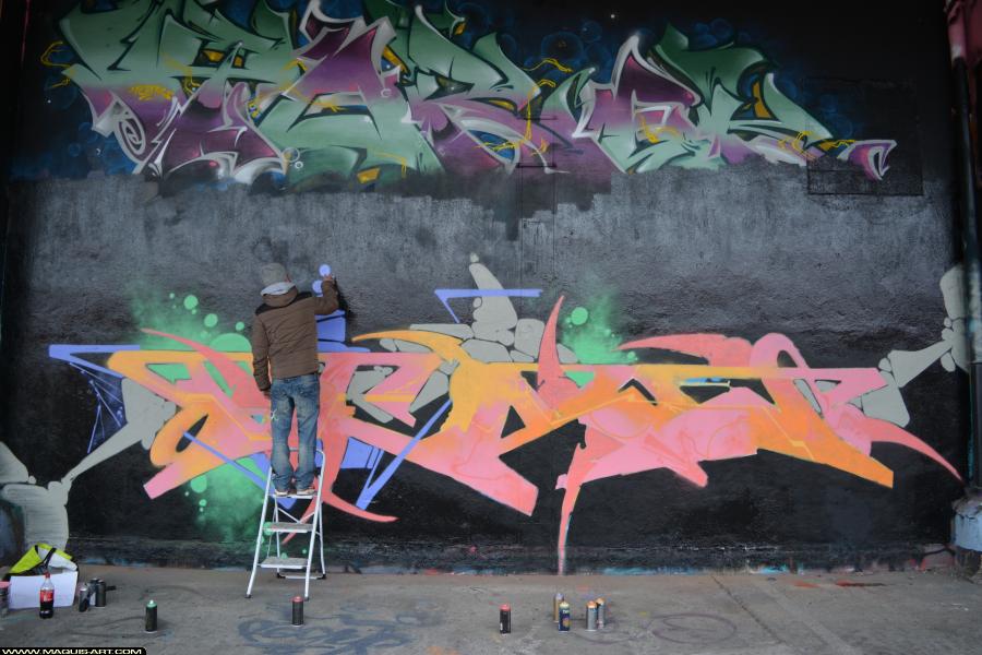 Graffiti de Pesa à L'Aérosol Paris (3 février 2018)